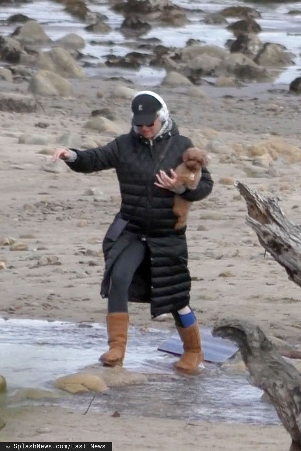 Katy Perry ze swoim pudelkiem, Nuggetem