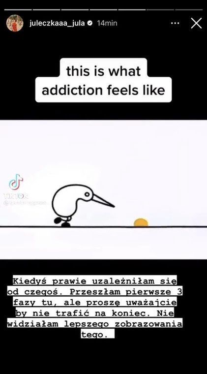 Screen z InstaStories Wróblewskiej