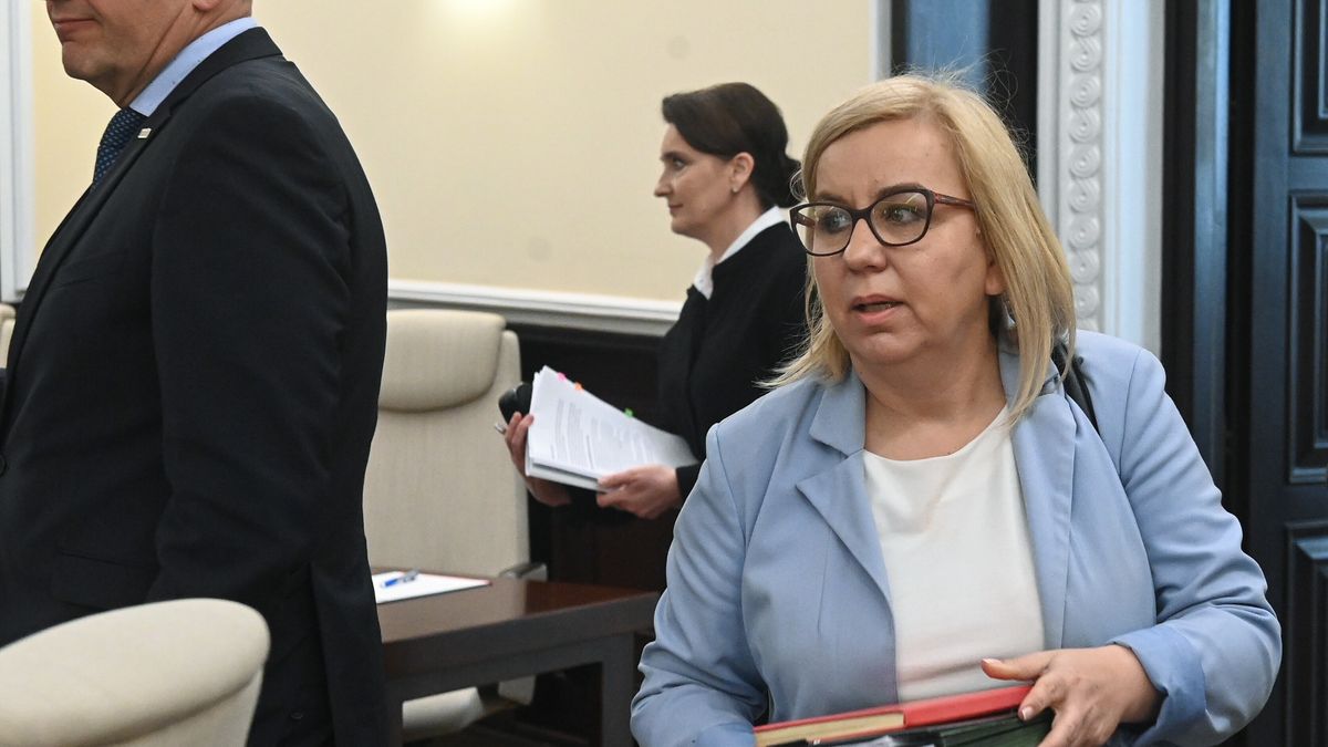 "Jak piąta kolumna w rządzie". Ministra oburzona zachowaniem koalicjanta ws. składki