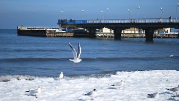 Pogoda w Kołobrzegu. Prognoza na środę 21 stycznia. Mróz i dużo słońca nad morzem