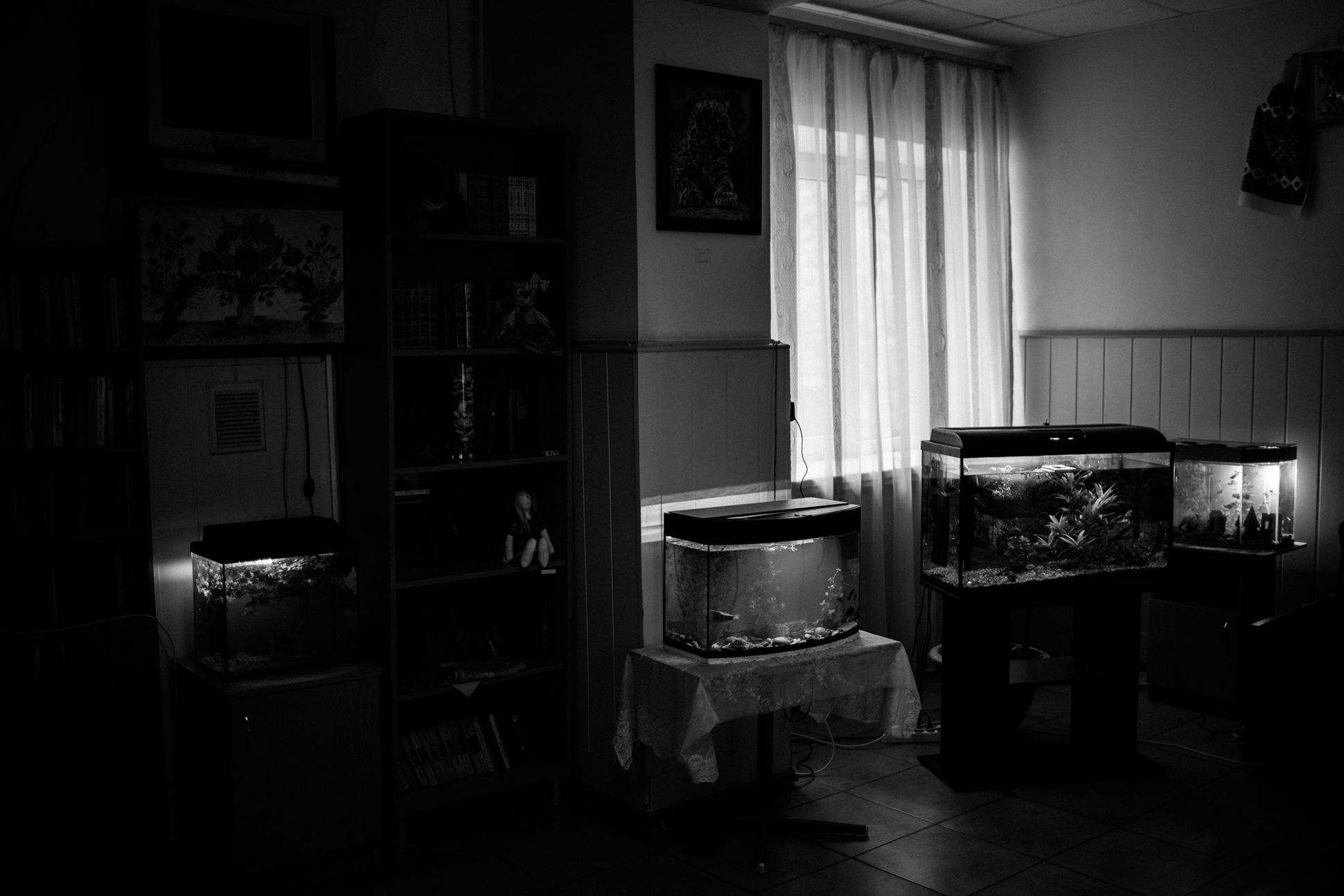 Ukraina, PTSD