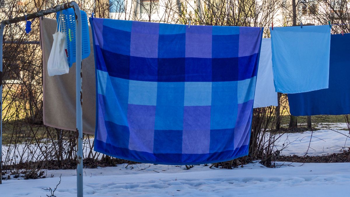 Mróz zabija roztocza kurzu