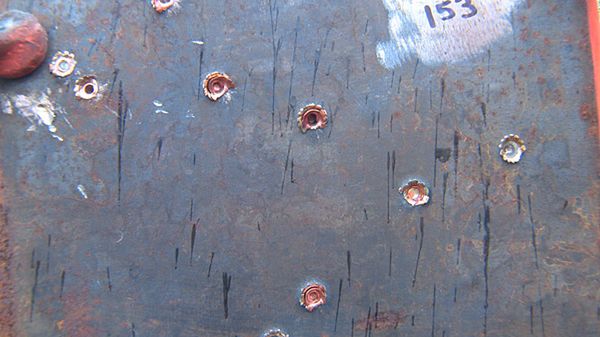 Zabijanie musi być ekologiczne! 1