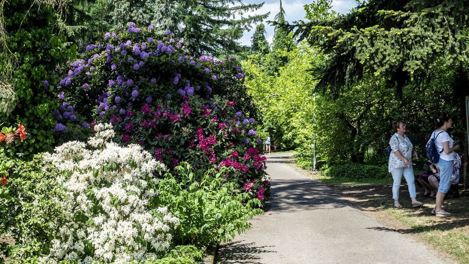 Arboretum