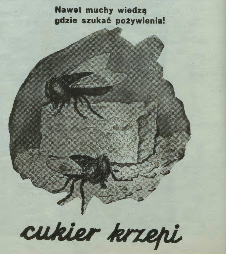 wielkahistoria.pl
