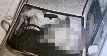 Robili to podczas jazdy. Media obiegło niezwykłe zdjęcie z fotoradaru