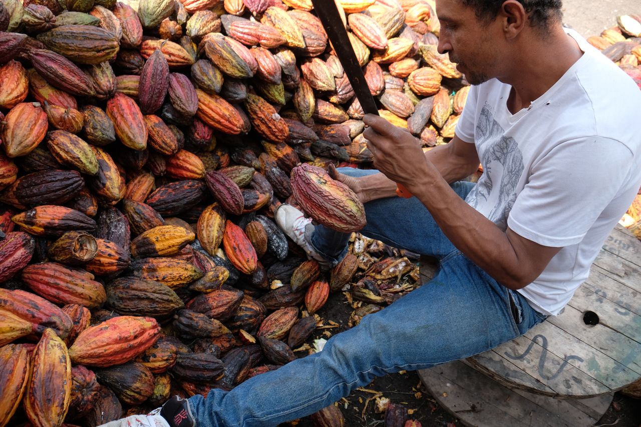 Kawa i czekolada tylko z pewnego źródła. Nowe prawe obejmie 120 tys. polskich firm