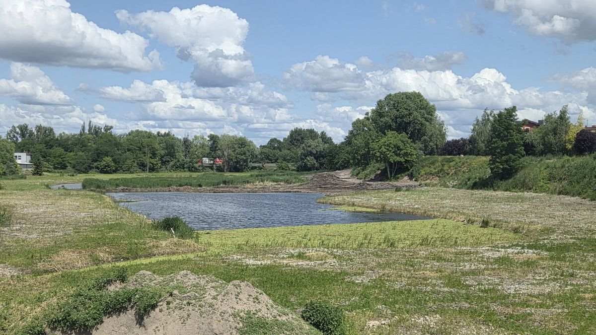 Kostrzyn