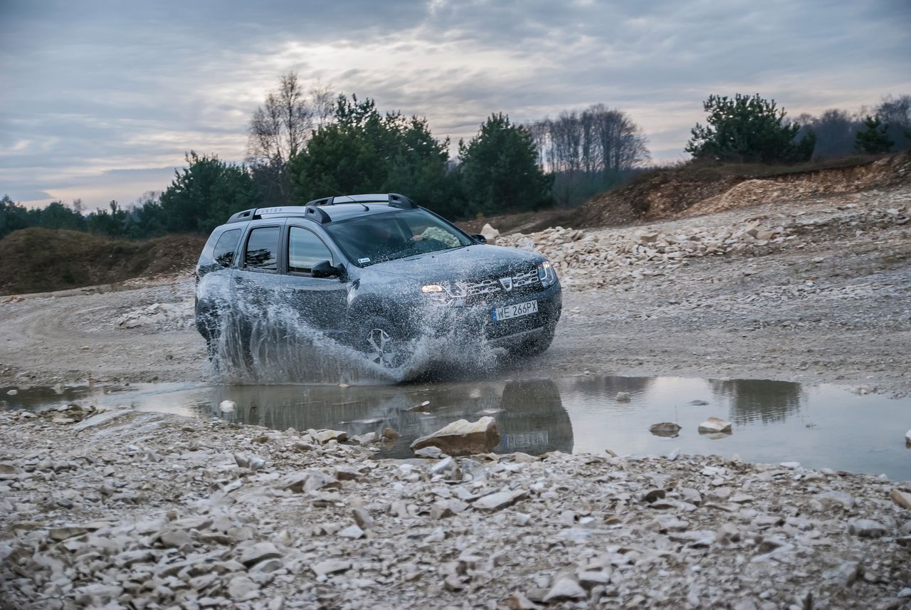 Dacia Duster uwielbia nierówności i leśne szlaki. Nawet jeśli ma napęd tylko na przednią oś