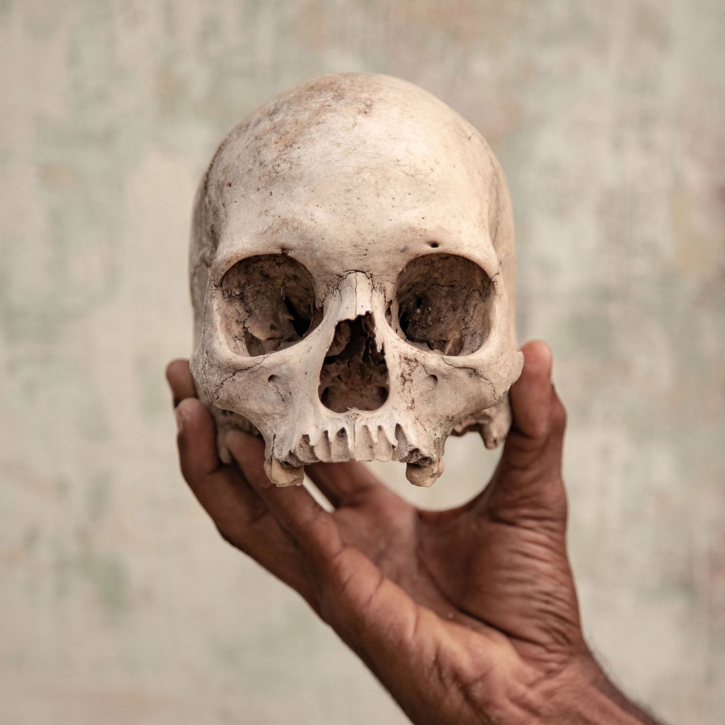 Kontrowersyjny materiał o samobójstwach wygrał Sony World Photography Awards 2019 1