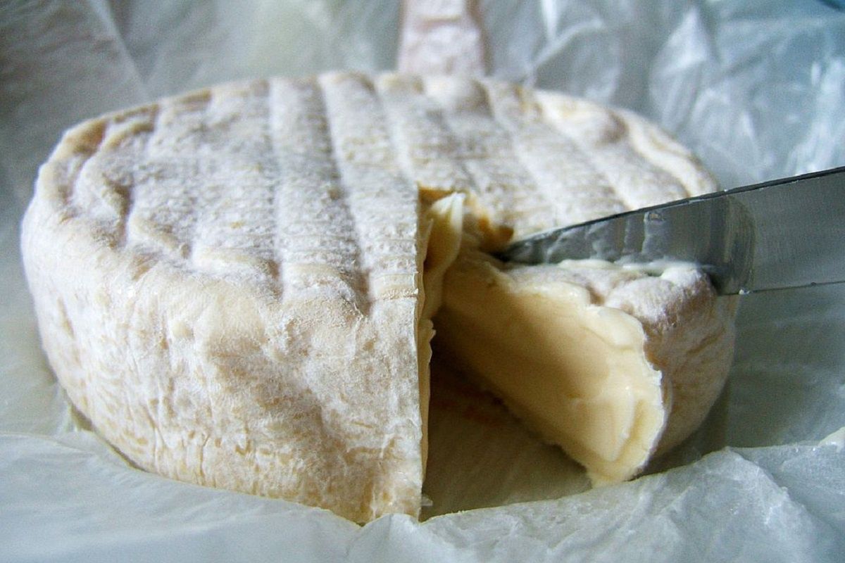 Grillowany camembert to idealny pomysł na sycącą przekąskę. 
