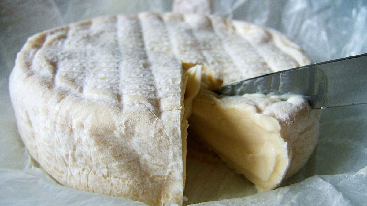 Grillowany camembert to idealny pomysł na sycącą przekąskę. 