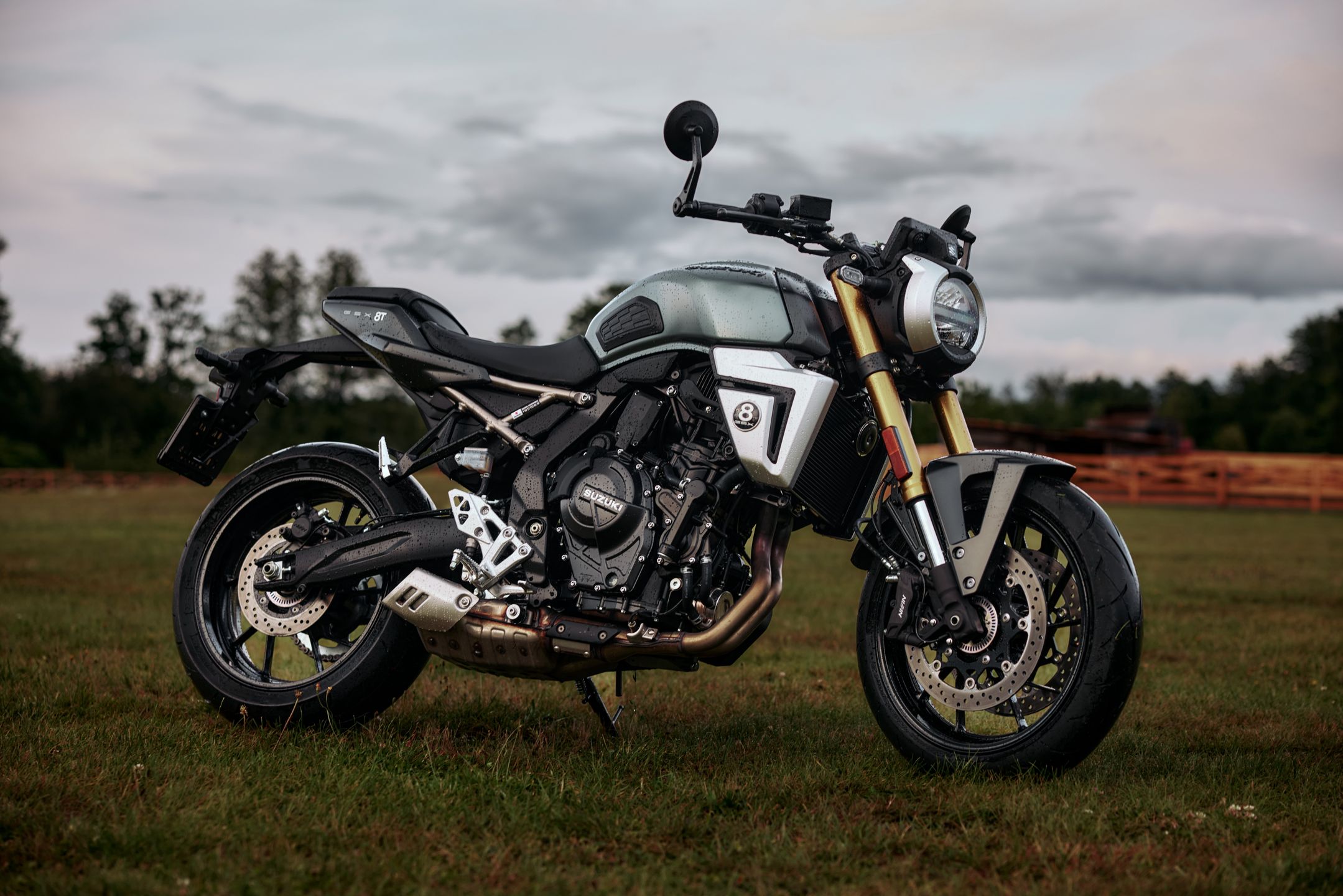 Suzuki GSX-8T