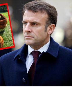 Macron uderzył w "króla kurczaków" z Ukrainy. Teraz nadszedł kontratak