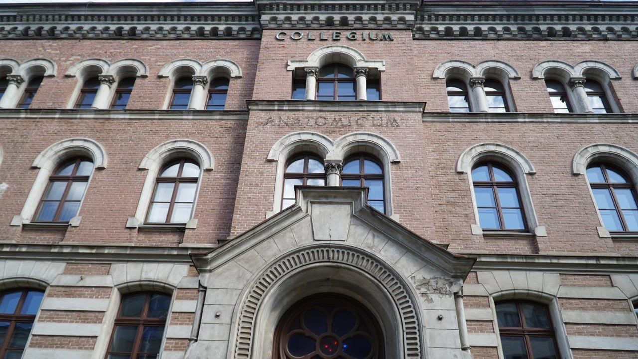 remont budynku