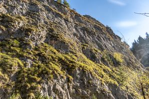 Wąwóz Homole, Homole, Jaworki