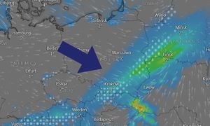 Sypnie śniegiem w Polsce. Niemcy już wiedzą, jak będzie zimą