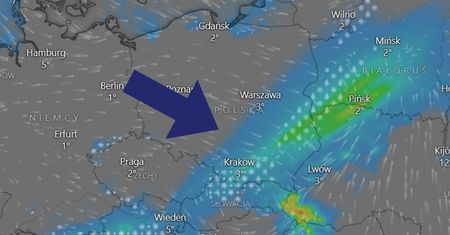 Sypnie śniegiem w Polsce. Niemcy już wiedzą, jak będzie zimą