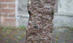 Przypadkowe odkrycie w Szczecinku. Wichura odsłoniła ponad stuletni skarb