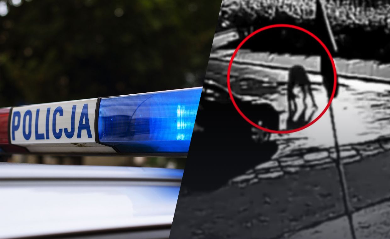 Krakowski skandal: 11 osób zatrzymanych, a prokuratura wypuszcza. Jak działa polskie prawo?