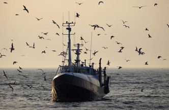 Wojna morska Francji z Wielką Brytanią. Niewykluczona blokada portów i większe kontrole Brytyjczyków