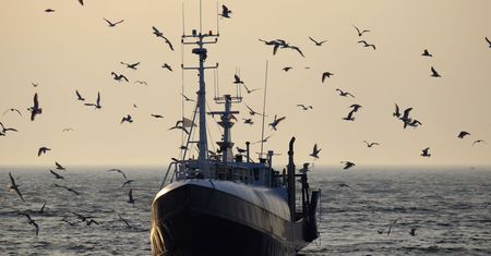 Wojna morska Francji z Wielką Brytanią. Niewykluczona blokada portów i większe kontrole Brytyjczyków