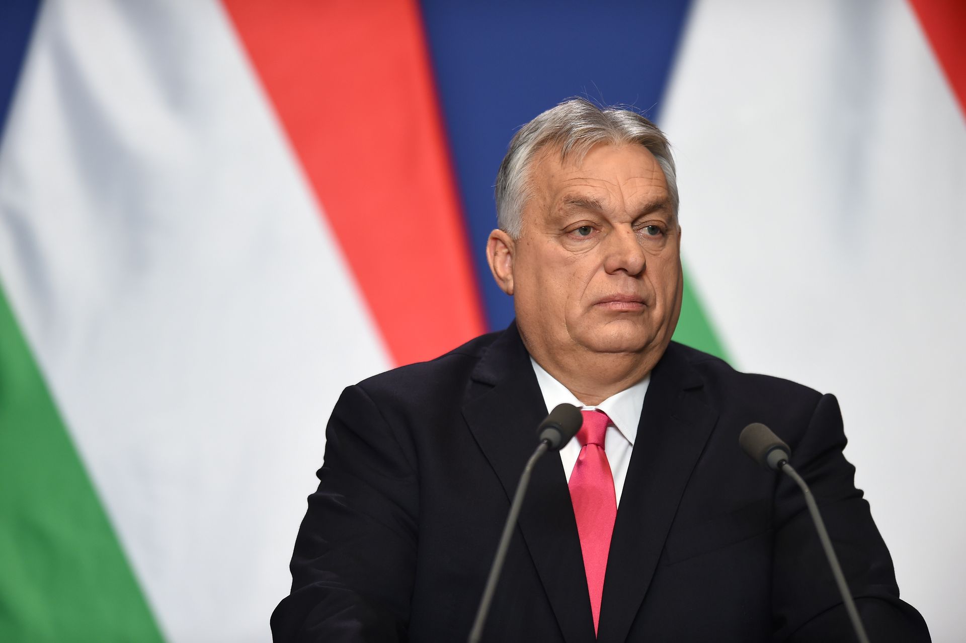 To już oficjalne. Dwóch Polaków z azylem na Węgrzech. Jest dokument