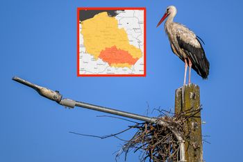 IMGW bije na alarm. Upały do 35 st. C i pomarańczowe alerty na południu kraju