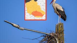IMGW bije na alarm. Upały do 35 st. C i pomarańczowe alerty na południu kraju