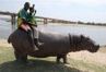 Przyjacielski  hipopotam