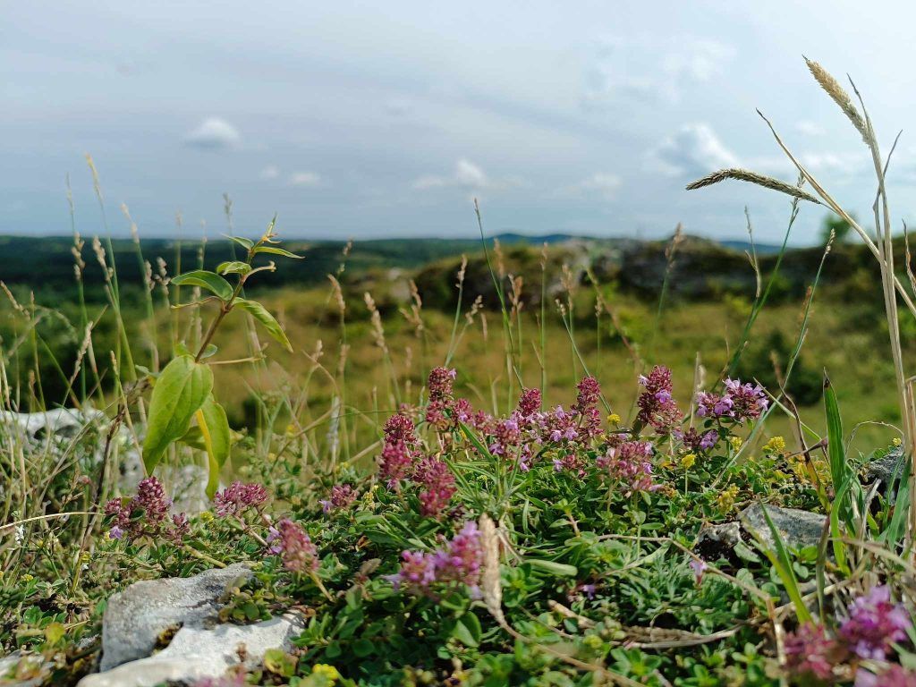 Góry Towarne - Olsztyn