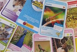 Biedronka zakończyła akcję "Super zwierzaki". Dzieci są zrozpaczone, ale nie wszystko jeszcze stracone