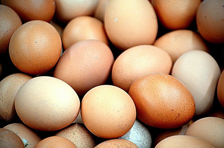 Oficjalne dane na temat cen jaj często mocno odbiegają do rynkowych stawek.