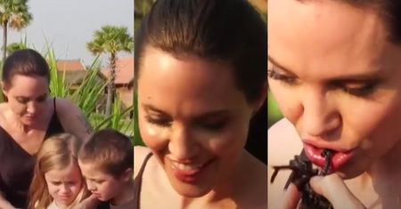 Angelina Jolie razem z dziećmi jedzą skorpiony i pająki... (FOTO)