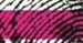 Rozpoczął się festiwal T-Mobile Nowe Horyzonty 2012
