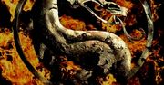 Jak zmieniły się gwiazdy filmu "Mortal Kombat" ?