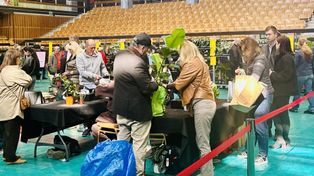 Tarnobrzeg: Festiwal Roślin. Niedziela przyciągnęła miłośników zieleni