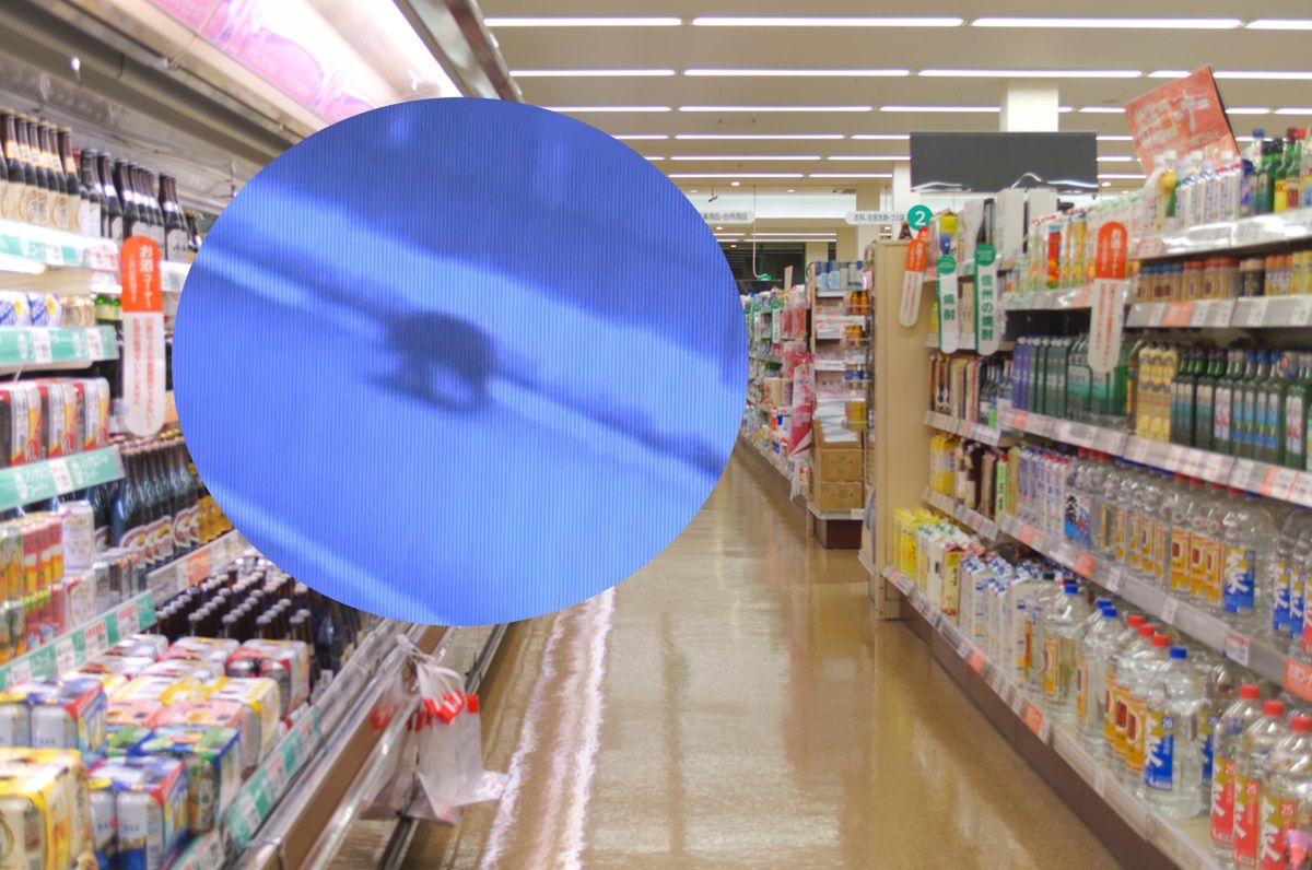 Bear siege in Japanese supermarket ends with capture and tragedy