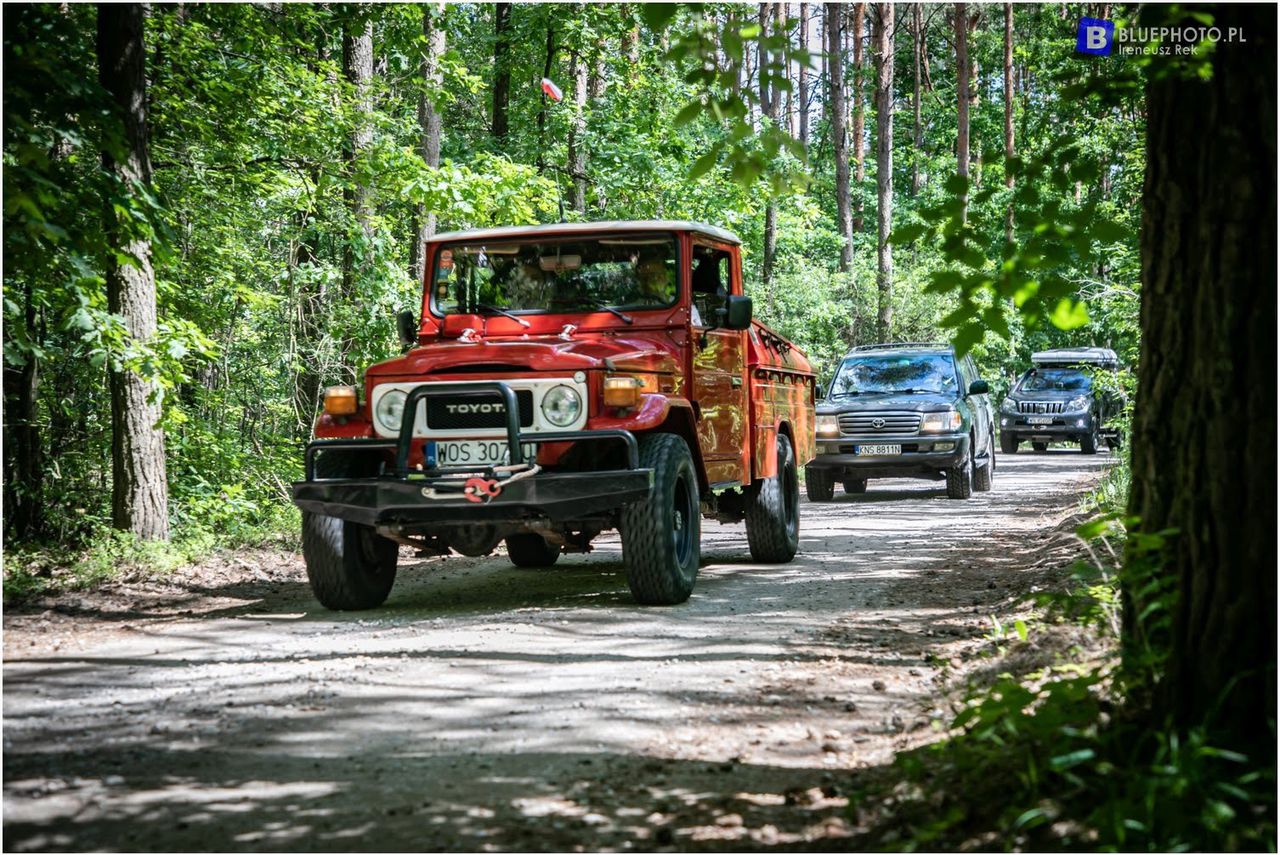 Zamość: Festiwal motoryzacyjny może przyciągnąć dzisiaj tłumy