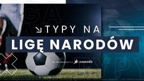 Czechy - Albania typy na Ligę Narodów 11.10.2024 | Kluczowy mecz Dywizji B