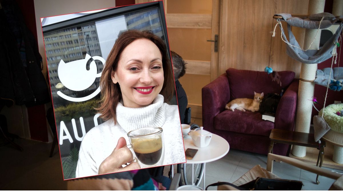 Anna Pawlicka jest właścicielką pierwszej kawiarni z kotami w stolicy