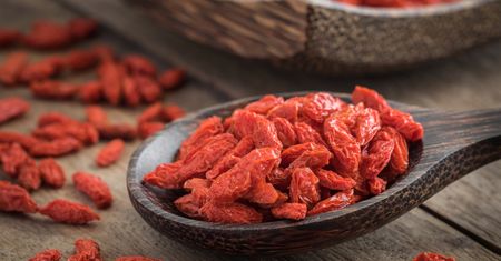 Jagody goji - superfood w twoim ogrodzie (WIDEO)