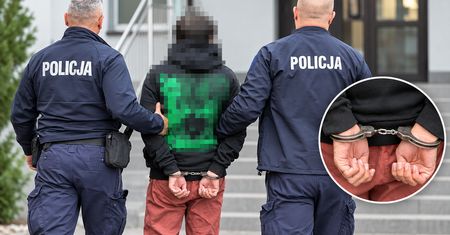 Policyjny nalot w powiecie chodzieskim i cztery zatrzymania