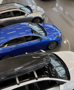 Zuchwała kradzież w salonie samochodowym. Na nic zdały się zabezpieczenia