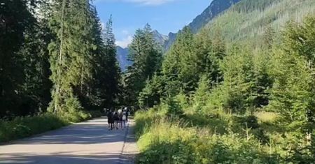 "Wstyd i hańba". Zagotowała się w drodze nad Morskie Oko