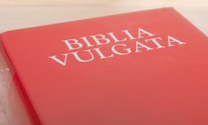 Przełomowe odkrycie w badaniach nad Biblią. Odnaleziono zaginione karty