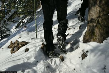 Turysta nie wrócił na noc. GOPR prosi o pomoc