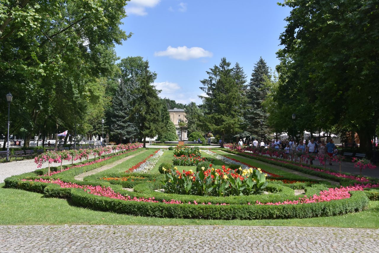 Zmiany w Parku Solankowym. Uzdrowisko w Inowrocławiu zyska nową strefę relaksu