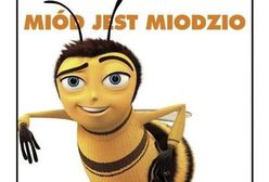 Wakacyjne filmy ku przestrodze