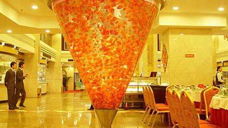 Piękne, ale szokująco mordercze akwarium 1